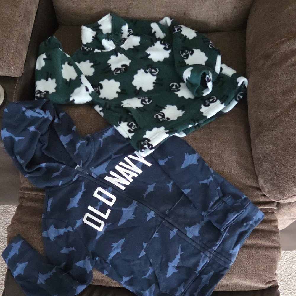 Old Navy Hoodie/traditional Craftswear Fleece